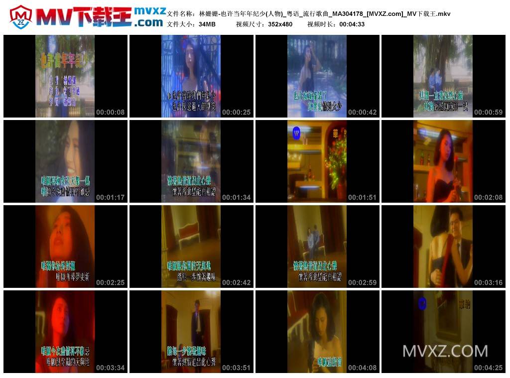 林姗姗-也许当年年纪少(人物)_粤语_流行歌曲_MA304178